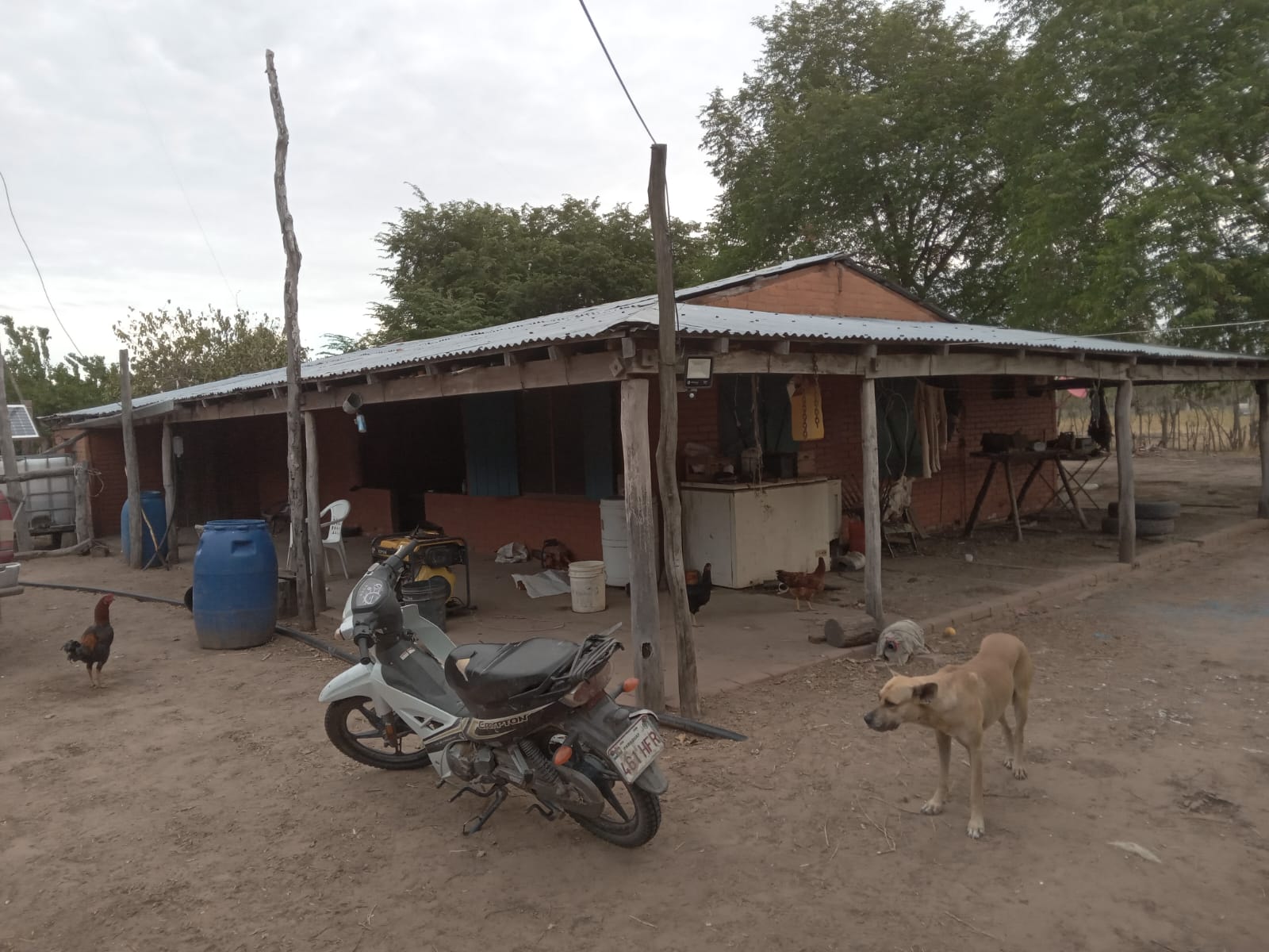 VENDO ESTANCIA EN ALTO PARAGUAY-FORTIN FLORIDA, 1600 HAS — foto 3