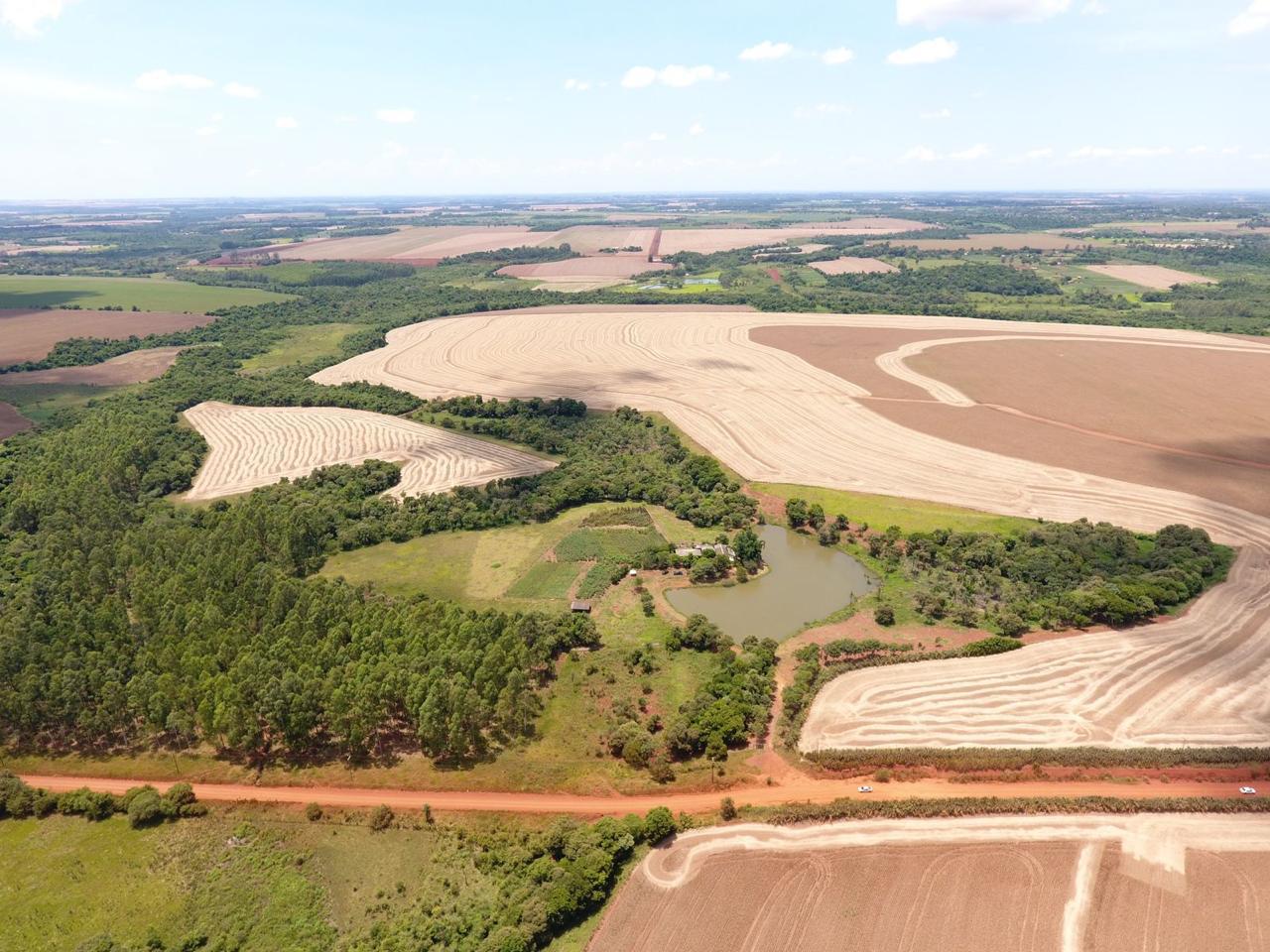 EN VENTA 60 HECTAREAS EN EL KM 30 ACARAY — foto 3
