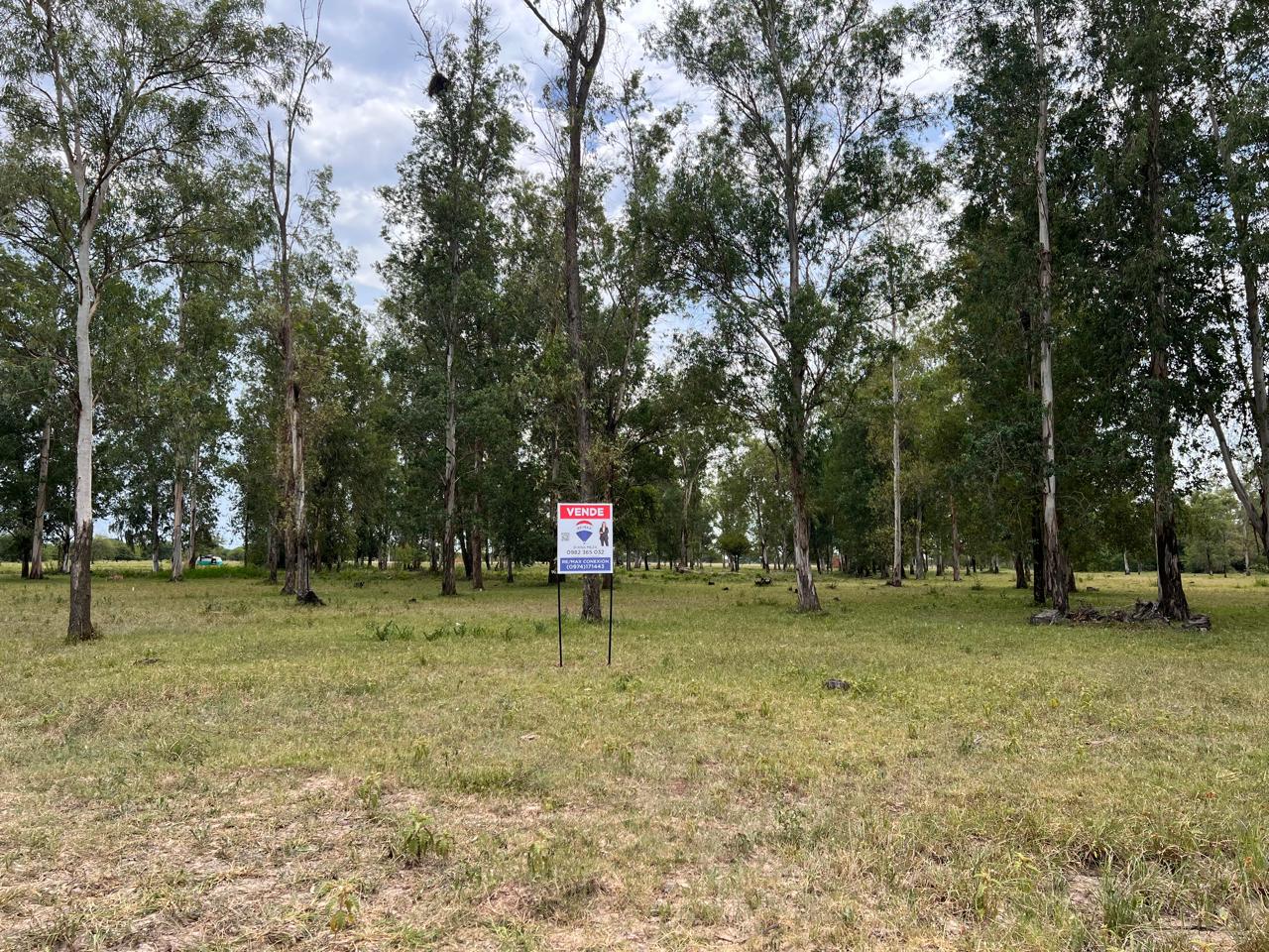 Terreno 600 M2 Chacoi - Ruta 12 — foto 3