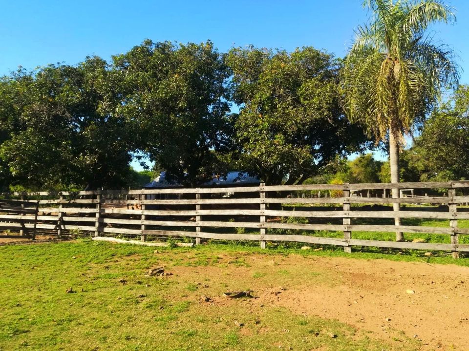 Campo en venta en Caapucú — foto 3