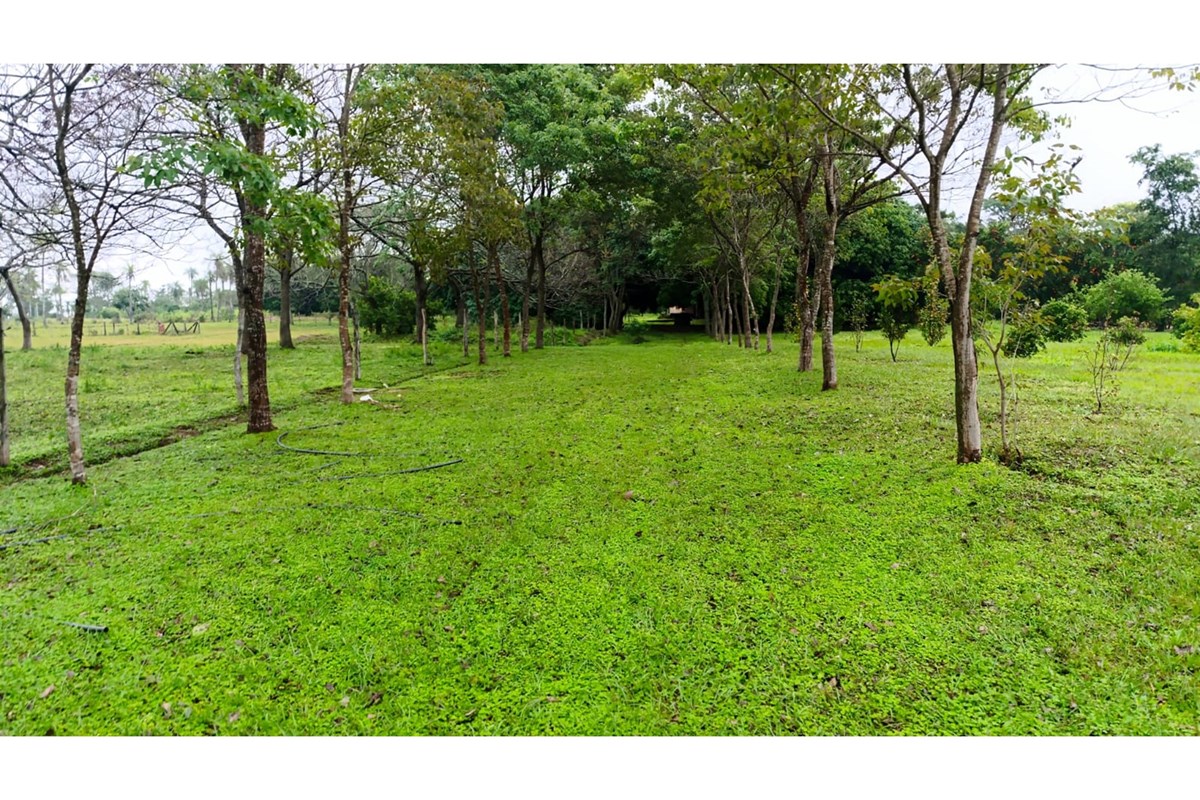 Terreno en venta de 11 hectáreas + 9.000 m² — foto 2