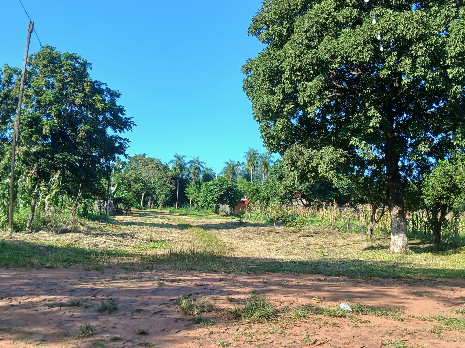 Terreno — foto 3