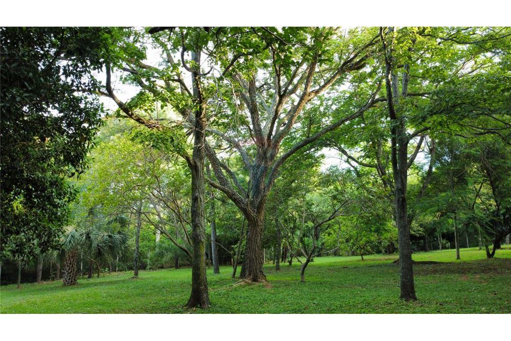 Vendo Hermosa Casa en medio de la Naturaleza — foto 2