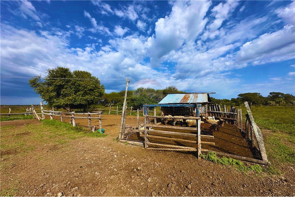 VENDO ESTANCIA FORMADA EN VILLA FRANCA ÑEEMBUCU — foto 3