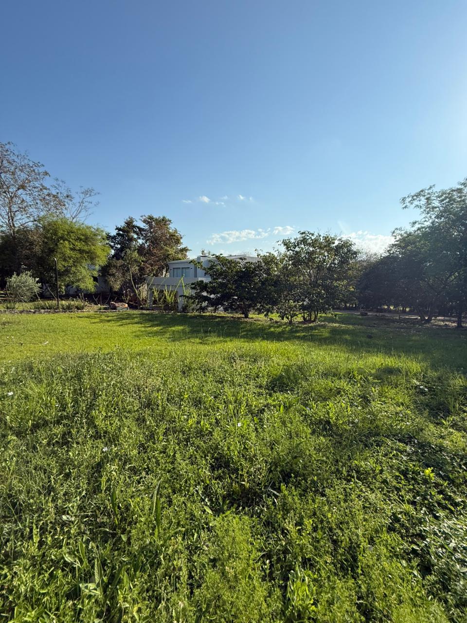 Terreno en Venta – Sunset Hills | San Bernardino — foto 2