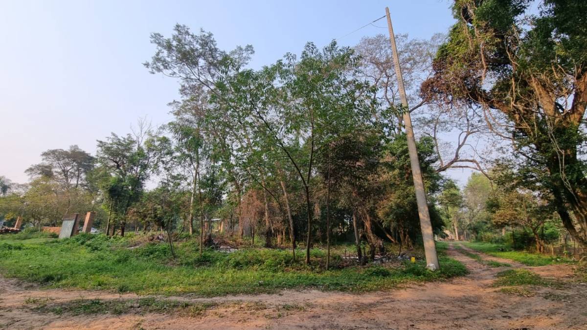 VENDO TERRENOS EN CIERVO CUA SAN BERNARDINO — foto 2