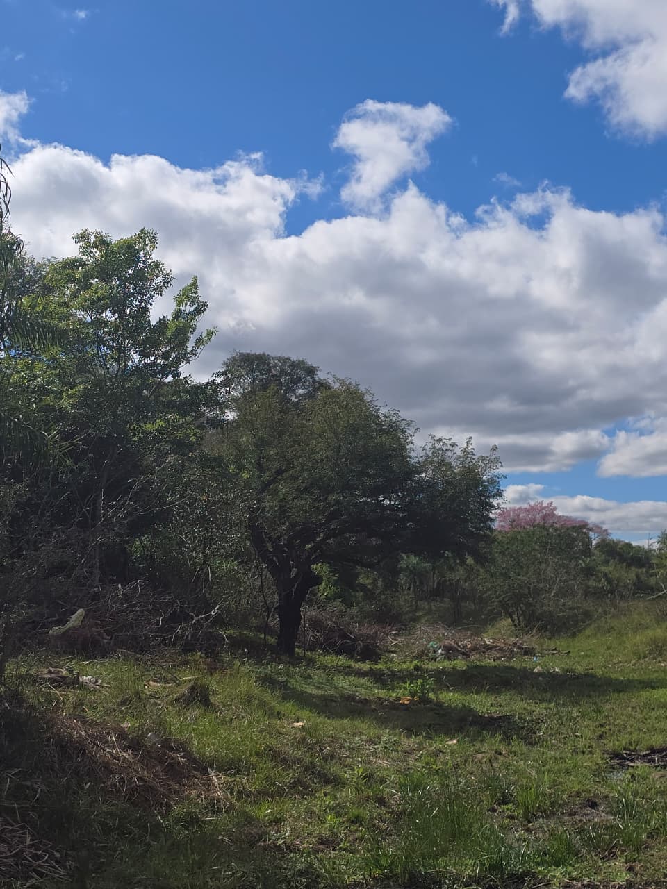 VENDO TERRENO EN SAN BERNARDINO — foto 2
