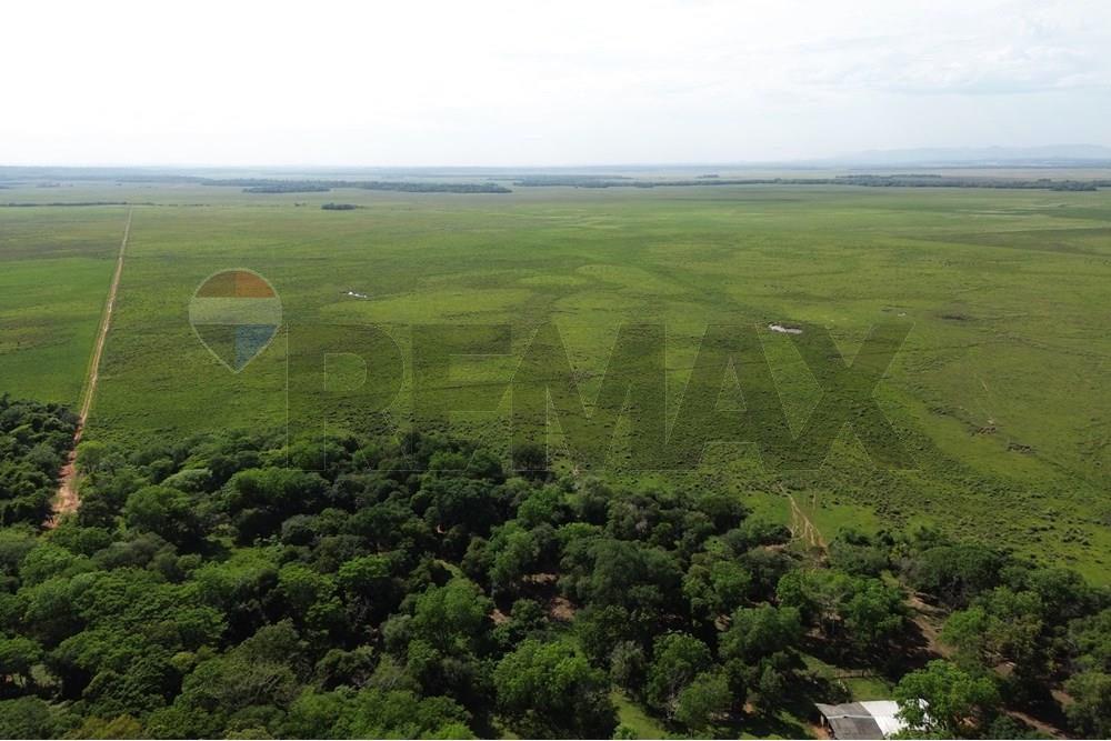 Estancia campo venta Coronel Oviedo 203Ha — foto 2