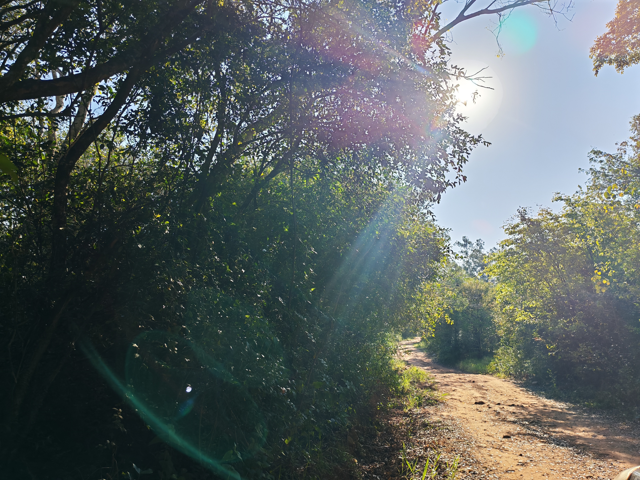 Vendo terreno en Caacupé Zona Cerro Real a 600mt de Ruta 2 — foto 3