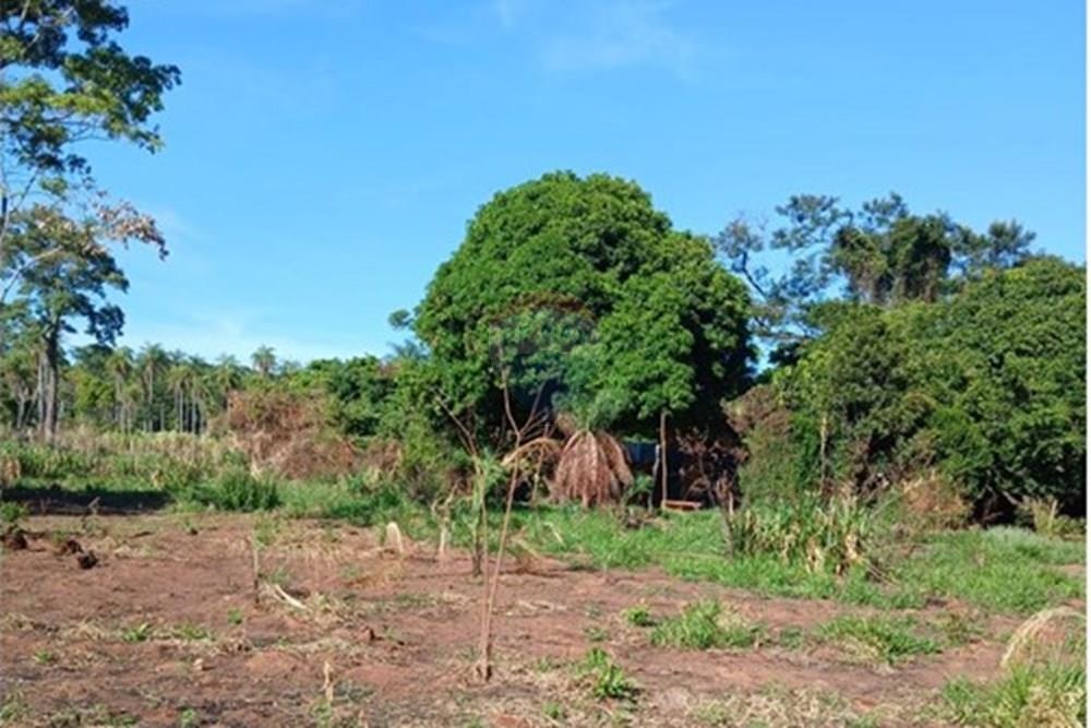 Terreno Vendo 1958 M2 en Tomás Romero Pereira — foto 2