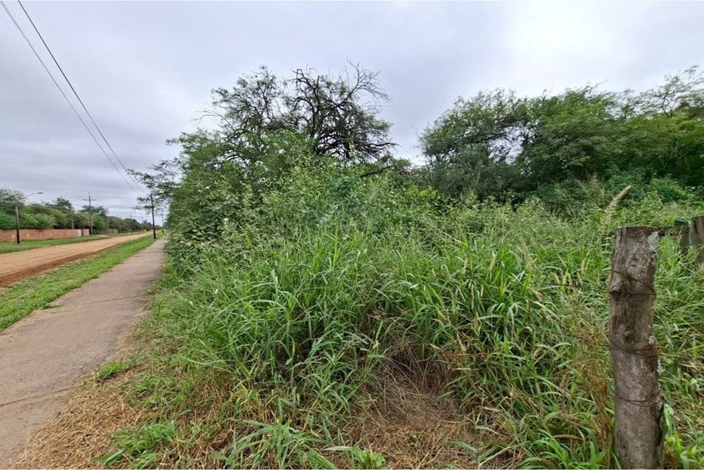 Terreno-Venta-Calle Friedhof, Filadelfia, Boquerón — foto 3