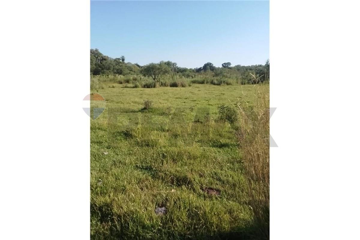 Terreno - Venta - Coronel Bogado, Itapúa, Paraguay — foto 3