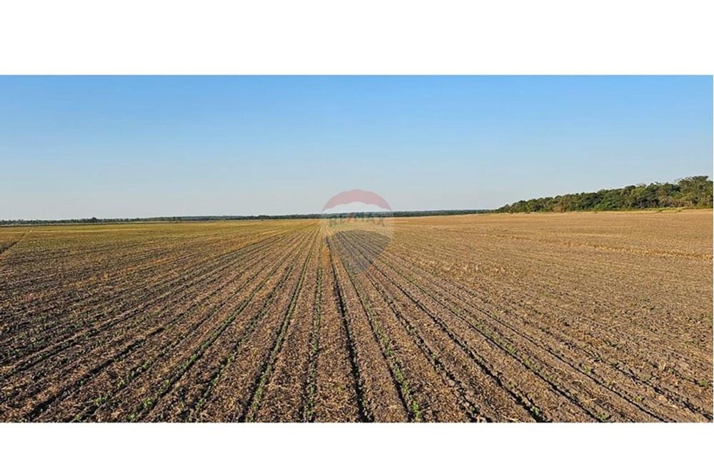 Campo en venta en San Pedro del Paraná — foto 2