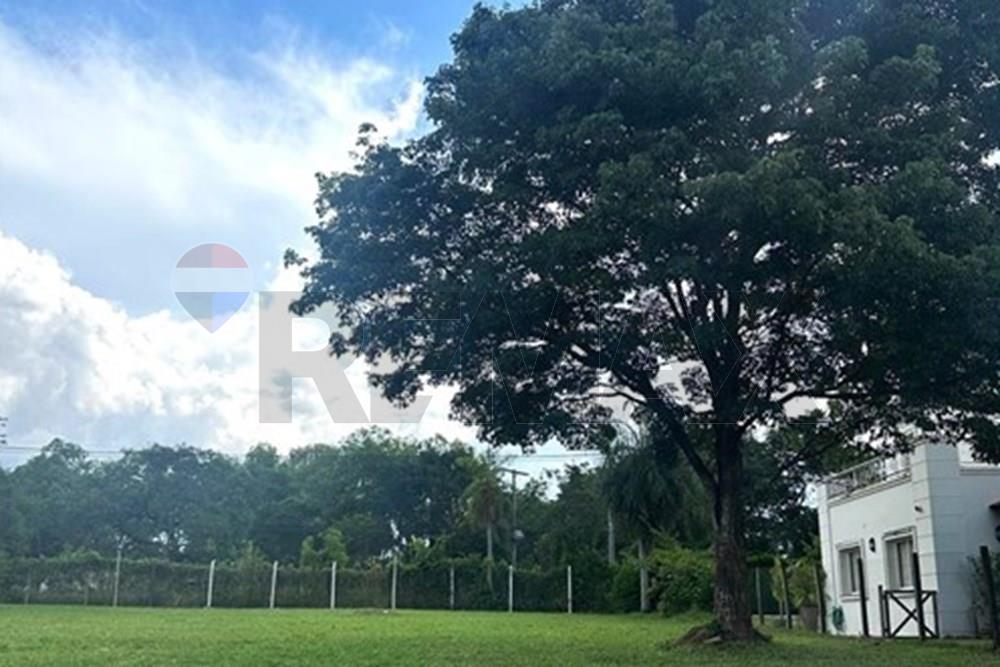 Terreno - Venta - Altos, Cordillera, Paraguay — foto 2