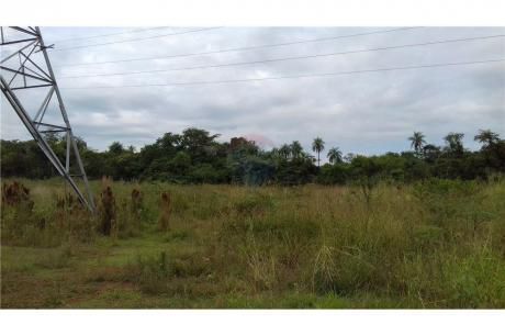 Terreno De 17 Hectáreas En Tobatí