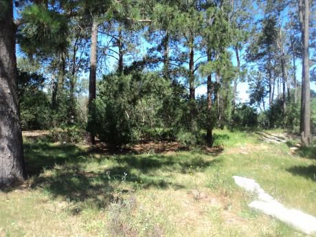Venta Terreno El Pinar