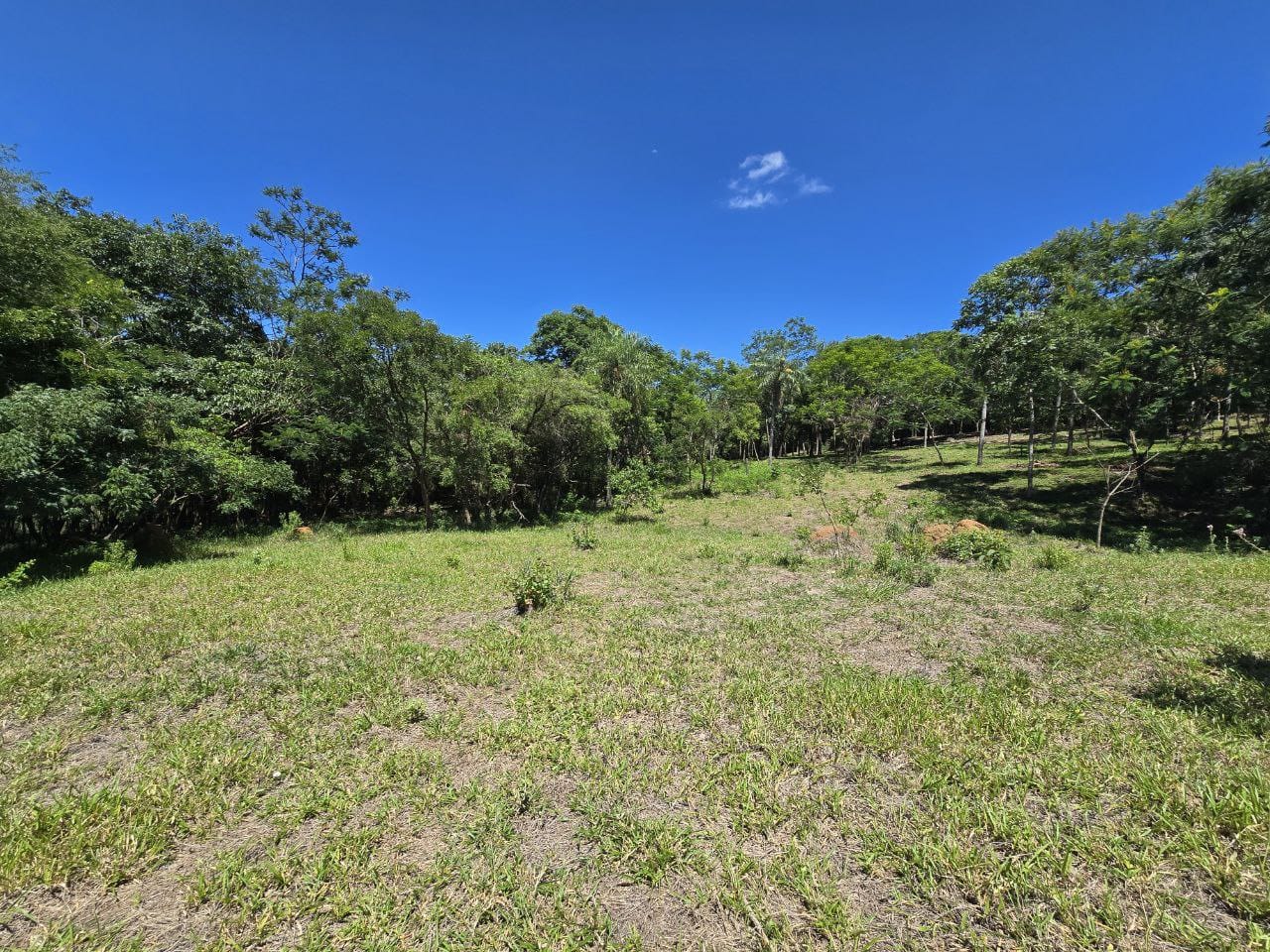 Terreno en venta en San Bernardino — foto 3