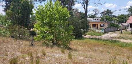 Oportunidad Inversores!!terreno Pinar Norte