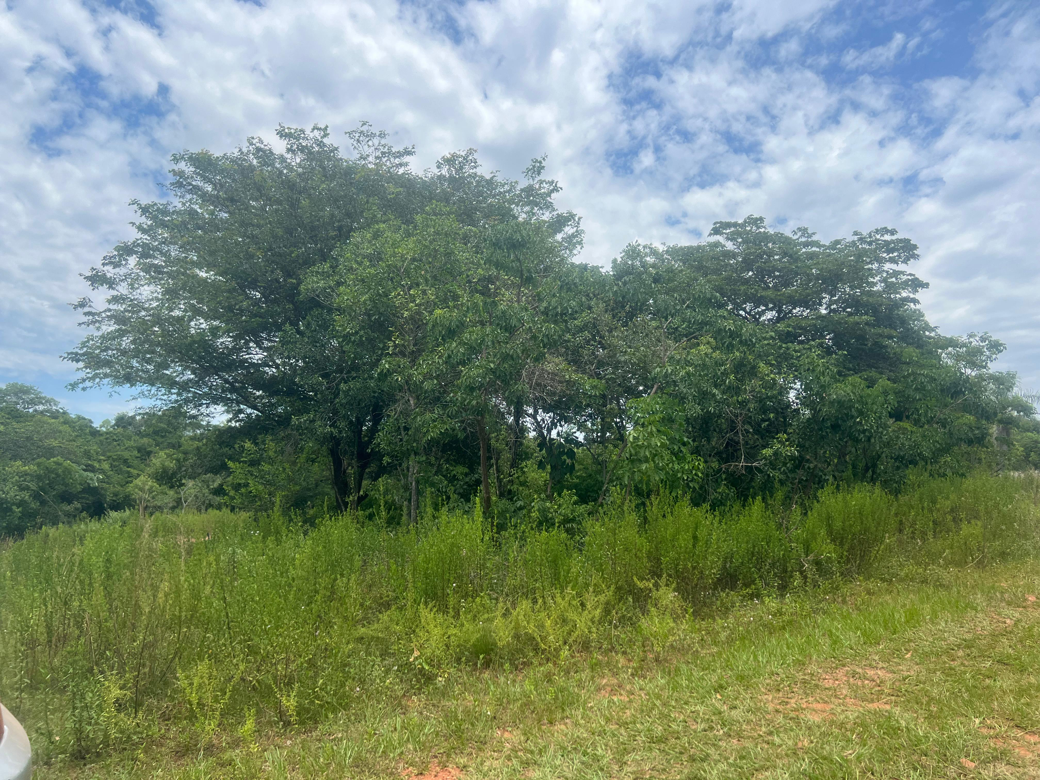 Terreno En Venta Luque-zona Jukyry — foto 2