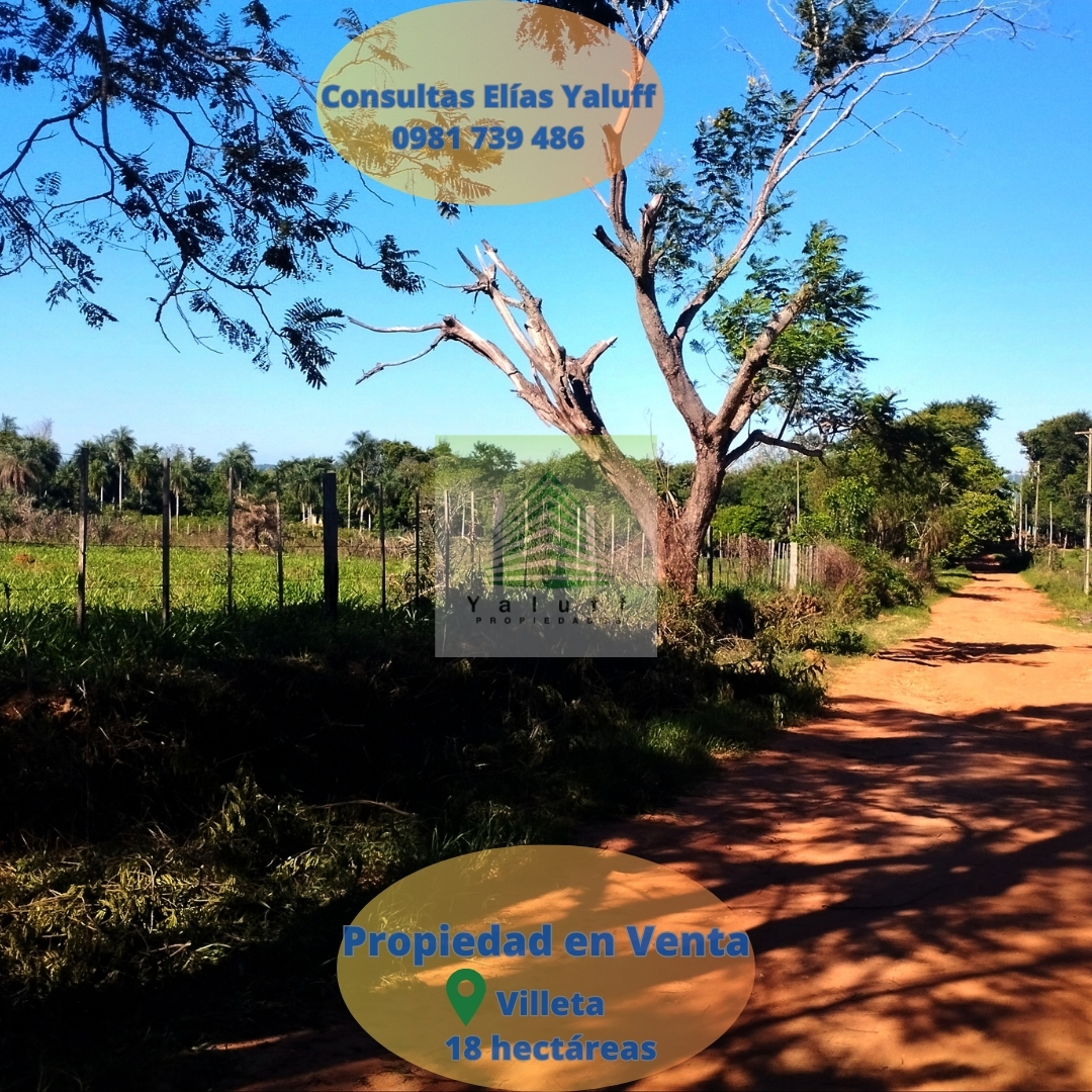 Terreno 18 Has En Villeta Tacuaty — foto 3