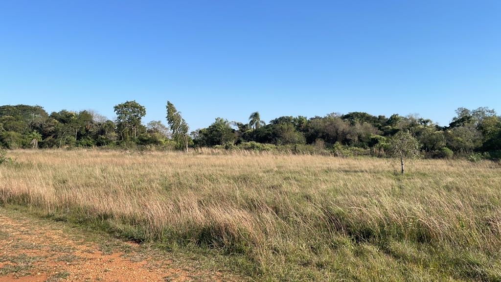 Terreno en San Bernardino - Urbanización El Cortijo — foto 2