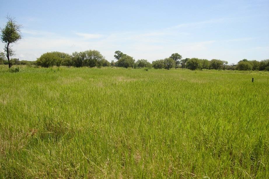 Estancia Agroganadera en venta  CAMPO GANADERO/AGRICOLA — foto 3