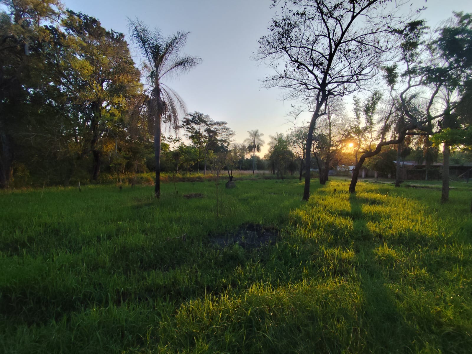 EN VENTA TERRENO EN SAN BERNARDINO — foto 2