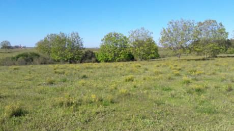 4 Fracciones En Est. Floresta