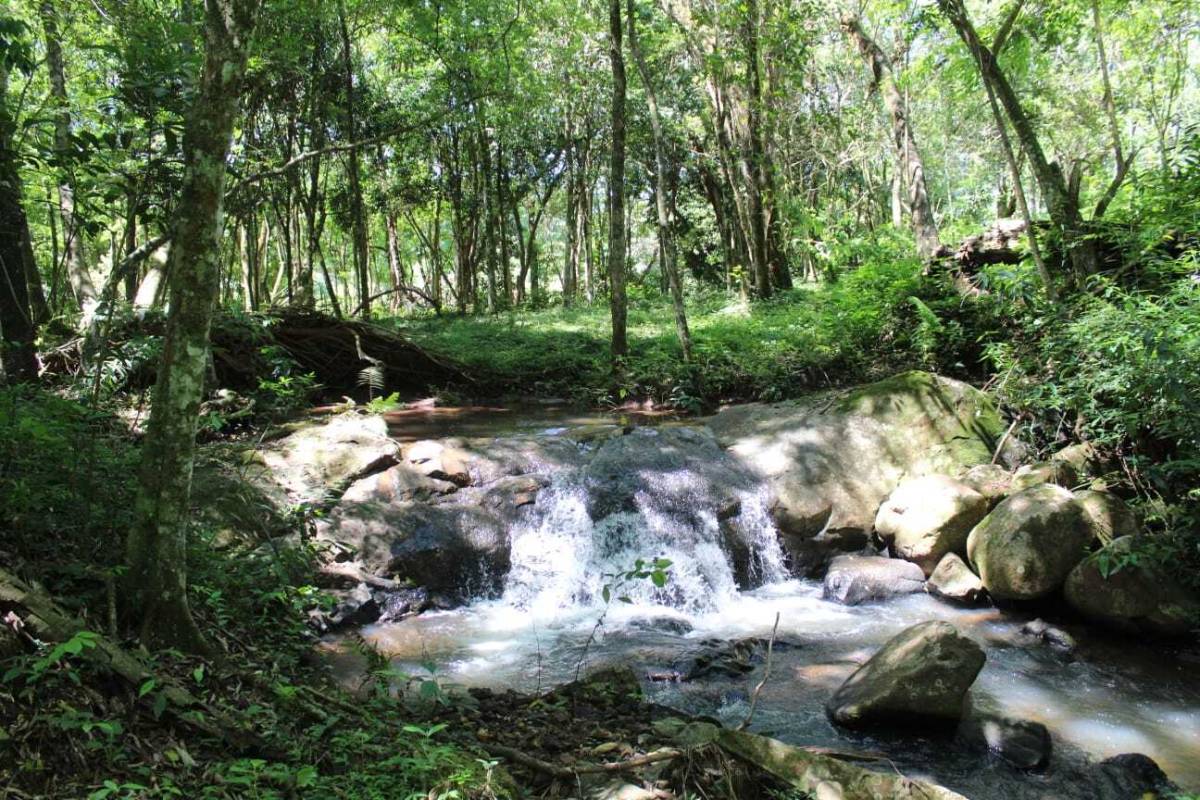 VENDO CAMPO OBLIGADO, ITAPU — foto 2