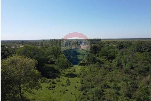 Vendo Campo- Arroyos y Esteros- Cordillera — foto 3