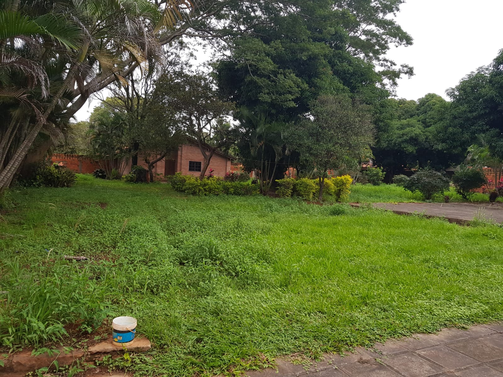 Terreno en Marian Roque Alonso — foto 3