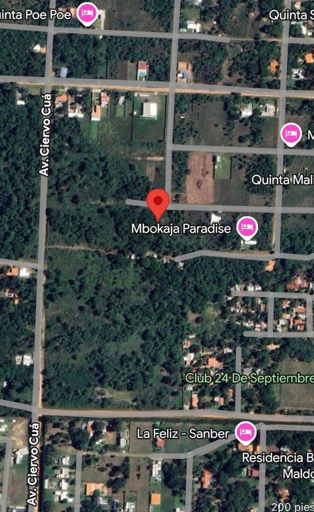 Vendo amplio  terreno de 3019 m² con frondosa vegetación — foto 2