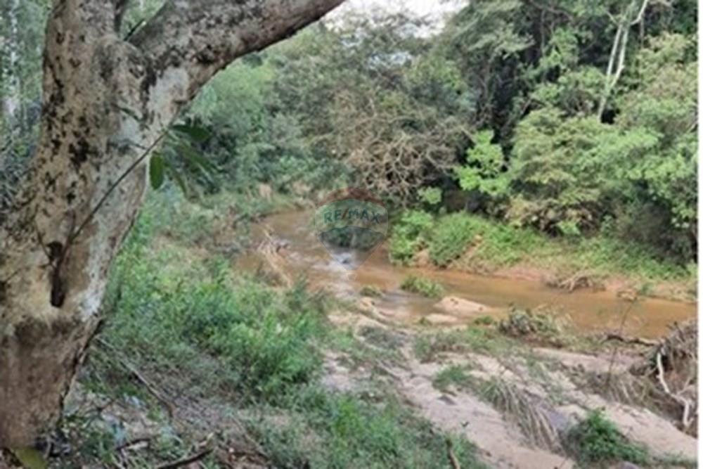 Hectáreas en Eusebio Ayala — foto 3