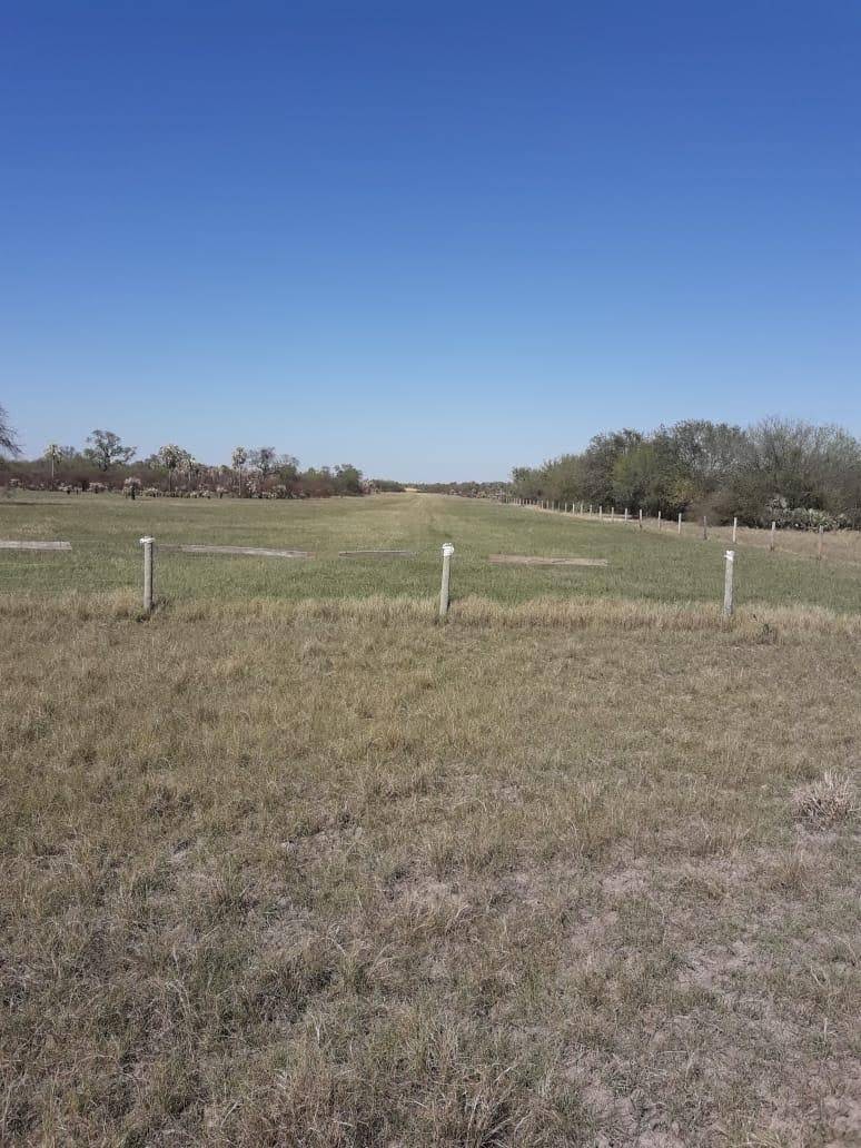 Vendo Estancia Fuerte Olimpo 6555 Hectareas — foto 2