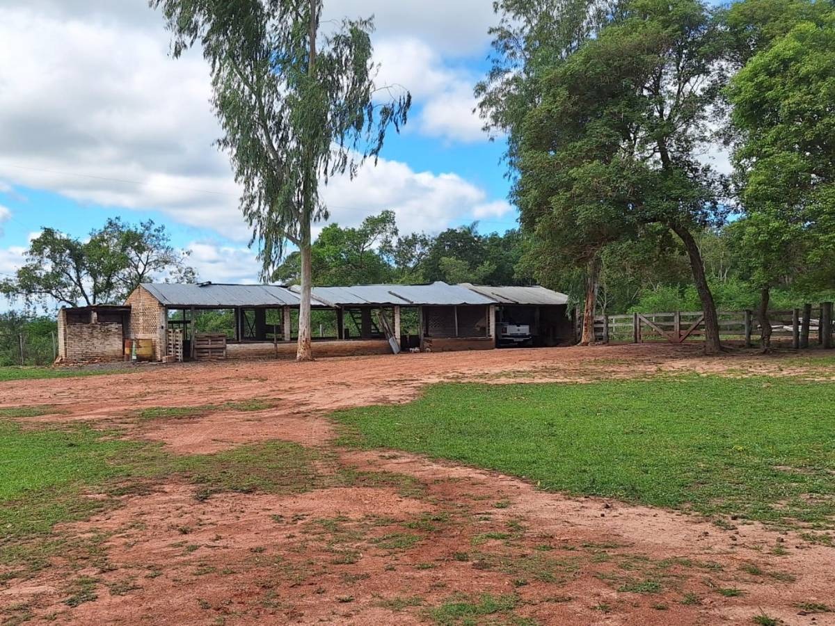 Vendo Estancia De 900ha En Horqueta, Concepcion — foto 3