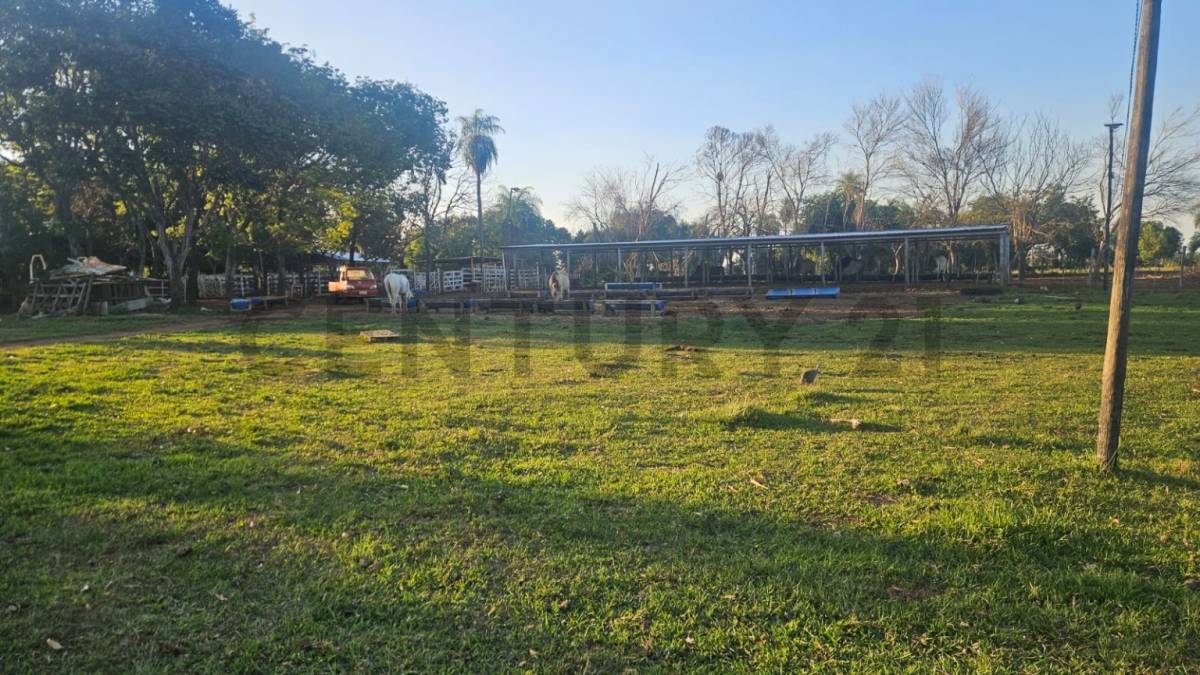 VENTA DE RANCHO PRODUCTIVO EN YBYCUÍ | ID: 42353 — foto 2
