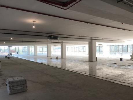 Alquilo Piso Libre Para Oficinas Corporativas En Las Carmelitas!