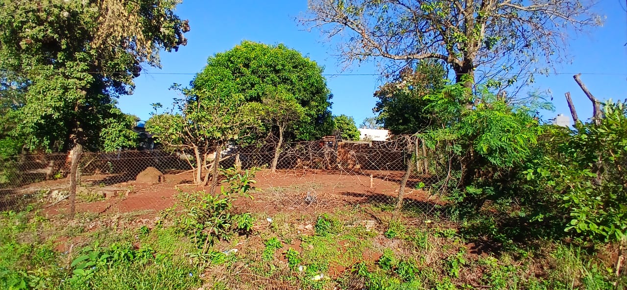 VENDO 2 TERRENOS EN KM 7 Y 1/2 — foto 3