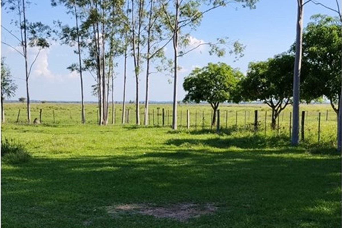 VENDO CAMPO DE 2.880.694m2 en Paraguay, Arroyos y Esteros — foto 2
