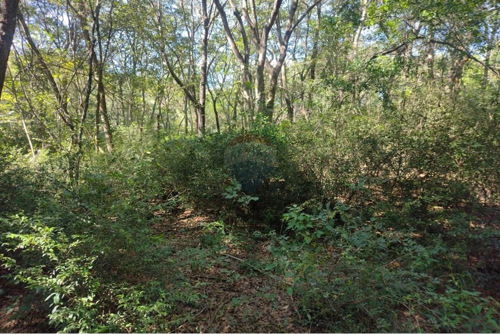Amplio Terreno en Cocue Guazú Areguá — foto 2