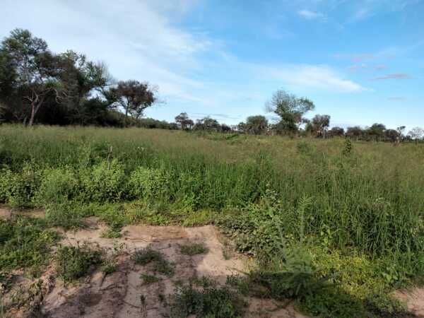 VENDO HERMOSA ESTANCIA DE 900HAS EN BOQUERÓN — foto 3