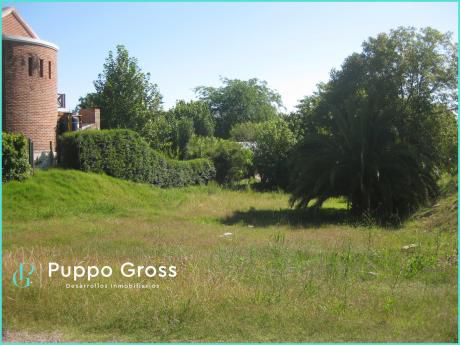 Vende Hermoso Terreno, 550 M2, En Zona Residencial, Cerca De La Rambla