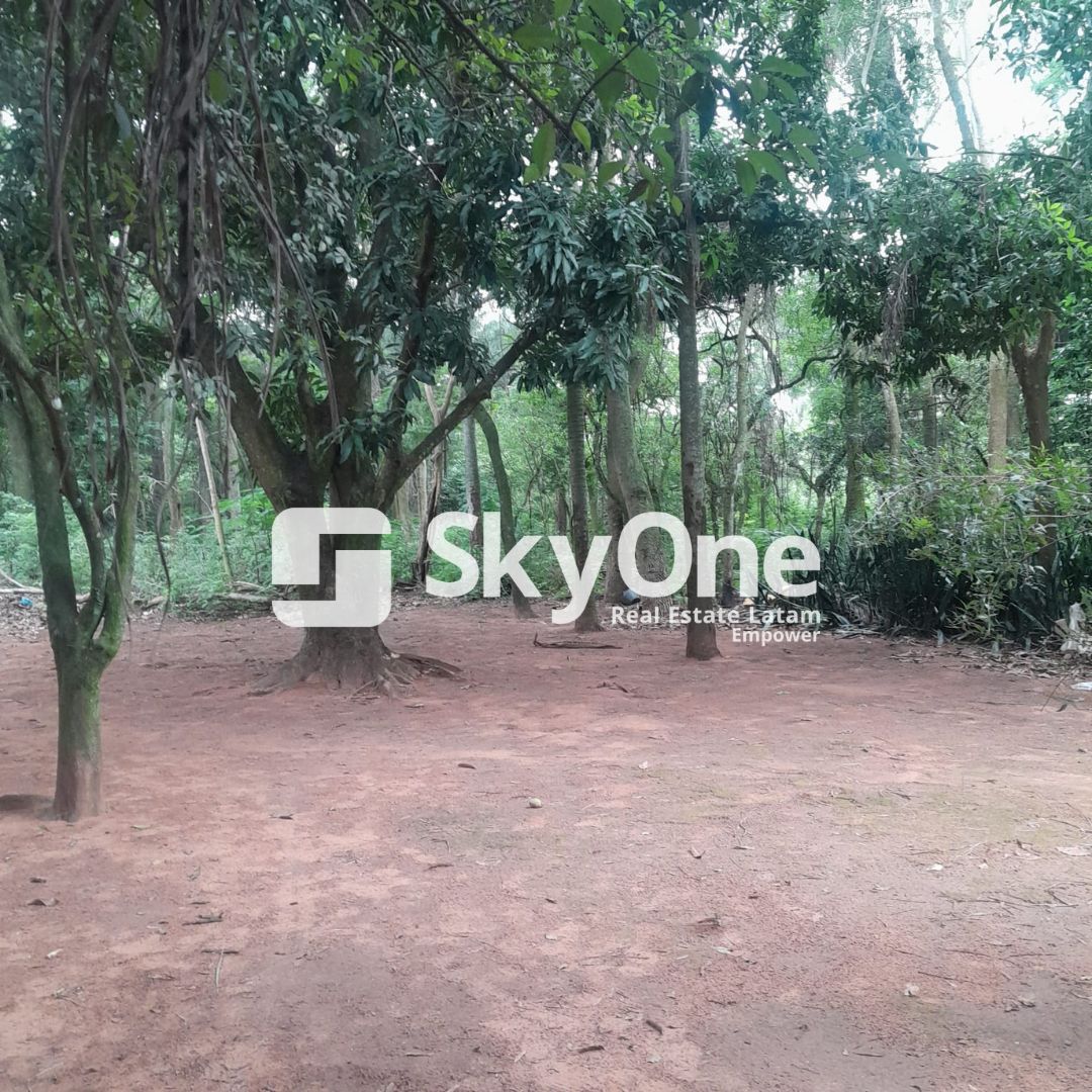 VENDO TERRENO DE 5000M2 EN SAN BERNARDINO — foto 3