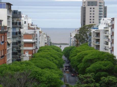 Apartamento En Pocitos