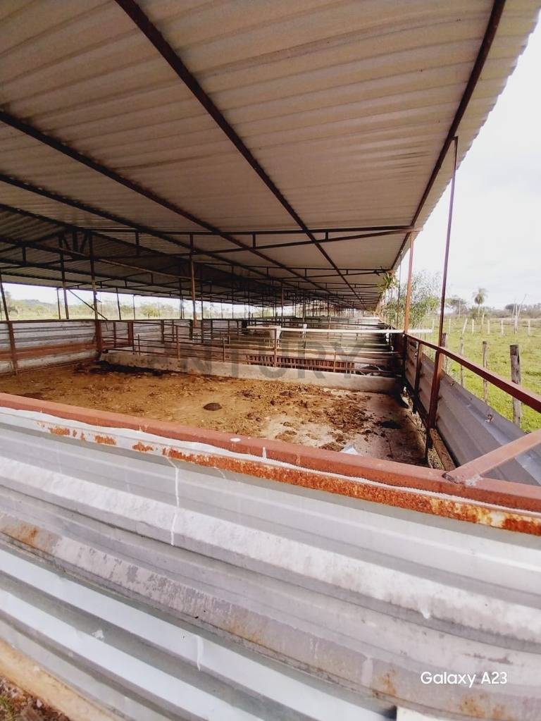 AGRICULTURAL INVESTMENT OPPORTUNITY – 13 HECTARES FOR SALE IN PARAGUAY — foto 2
