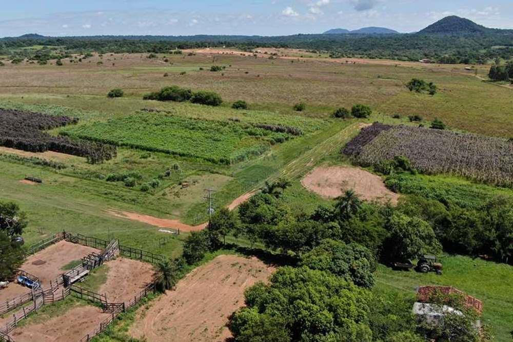 ESTABLECIMIENTO AGROGANADERO — foto 2