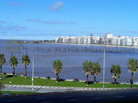 Frente Al Mar, Se Alquila Totalmente Equipado!!,