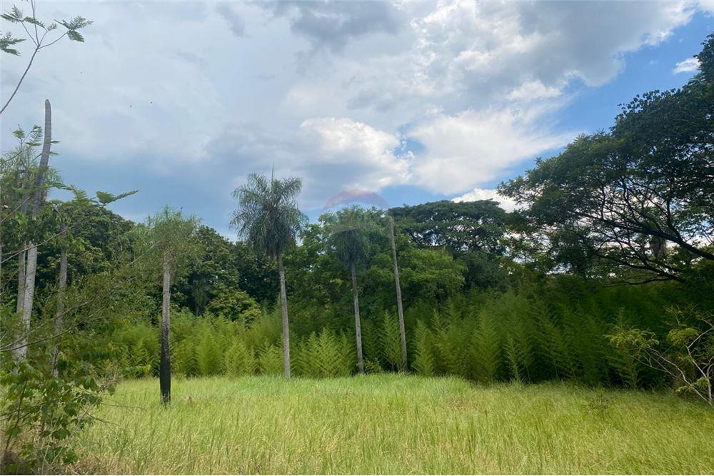 terreno en venta sanber de 10 mil metros cuadrdos  cierva de cua — foto 3