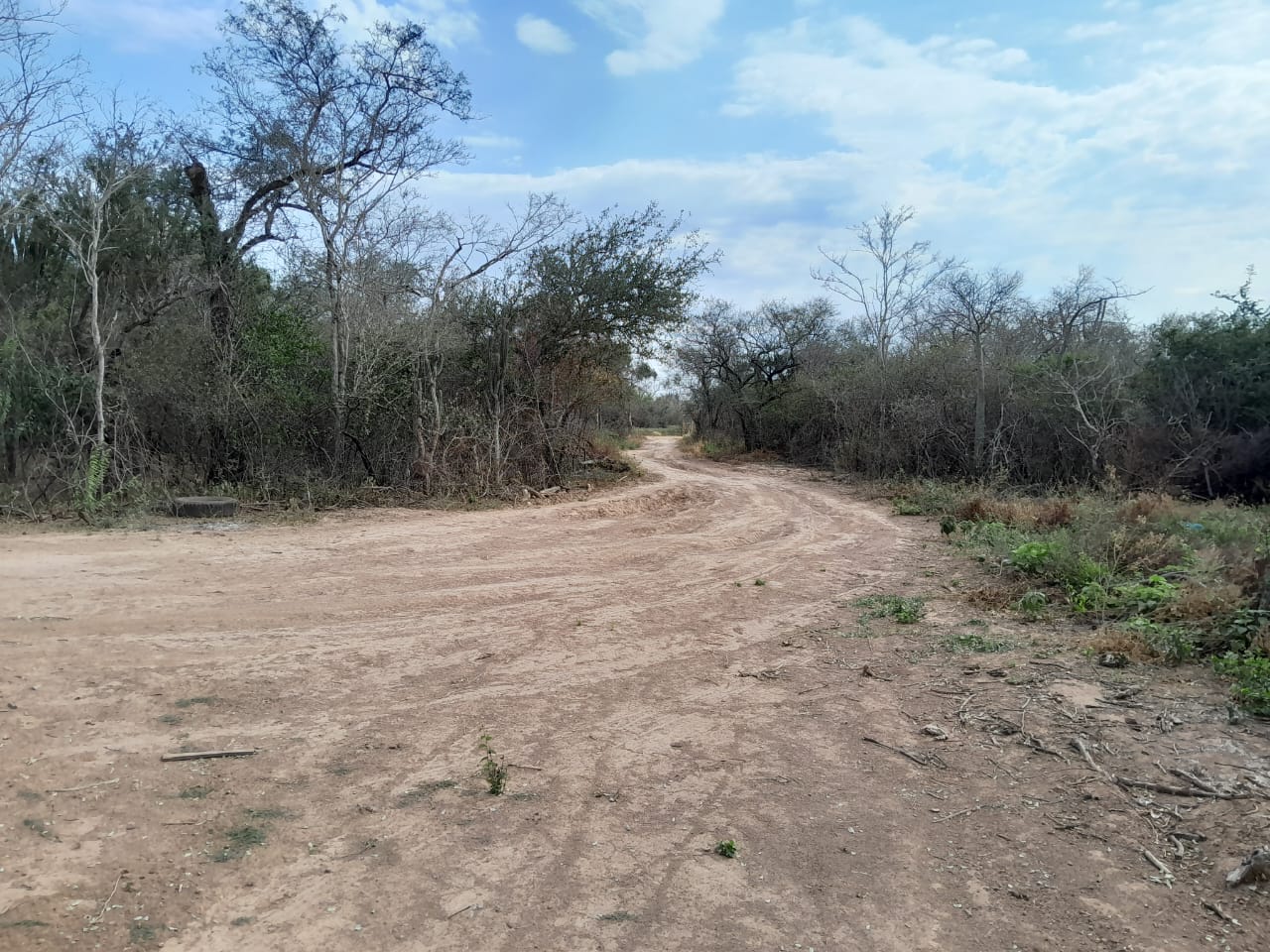 Vendo Campo De 4.000 Hectáreas En La Colonia Soldado Guaraní-clcs5561089 — foto 2
