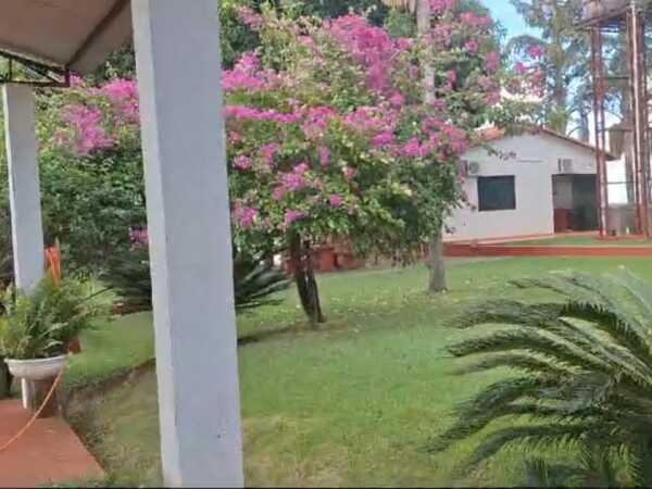EN VENTA 14 HECTAREAS EN HERNANDARIAS — foto 2